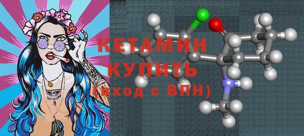 сатива Няндома