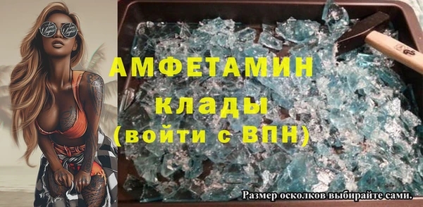 сатива Няндома