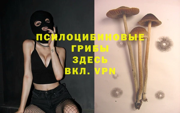 сатива Няндома