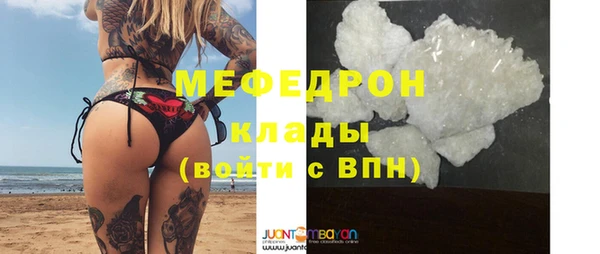 сатива Няндома