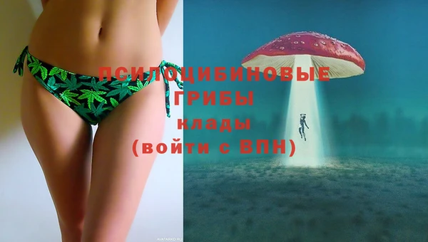 сатива Няндома