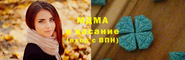 сатива Няндома