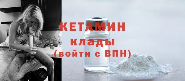 сатива Няндома