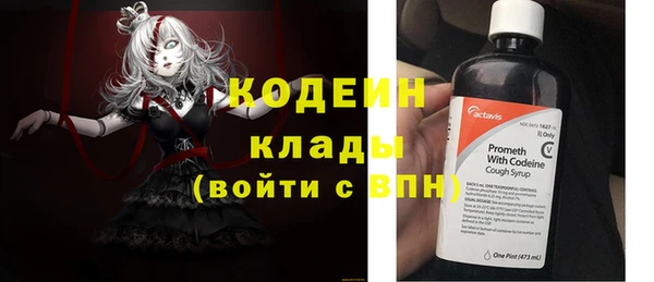 сатива Няндома
