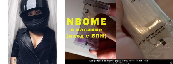 сатива Няндома