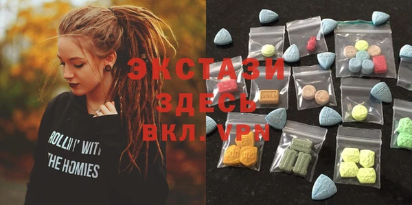 сатива Няндома
