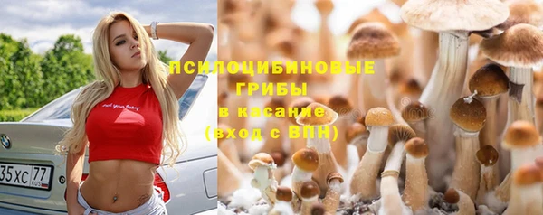 СК Нягань