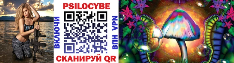 Галлюциногенные грибы Cubensis  купить закладку  Салаир 